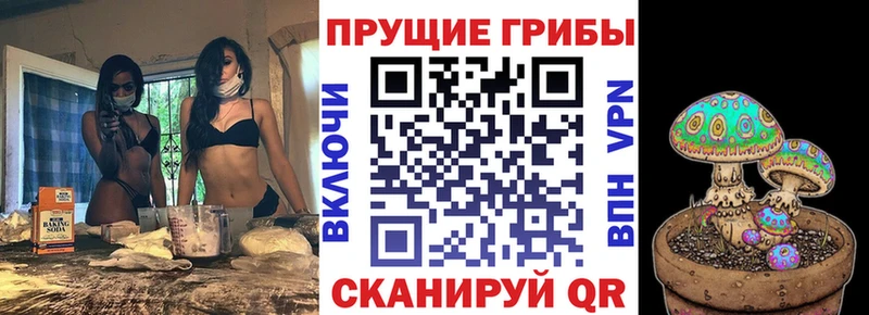 купить наркотики цена  Снежногорск  Псилоцибиновые грибы мухоморы 